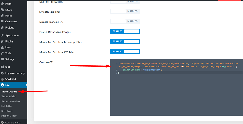 Divi Custom CSS Theme Options to show title on hover in portfolio module