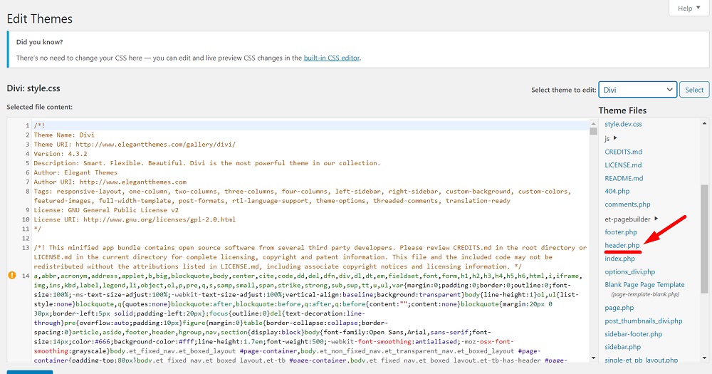 WordPress Theme Editor Divi theme