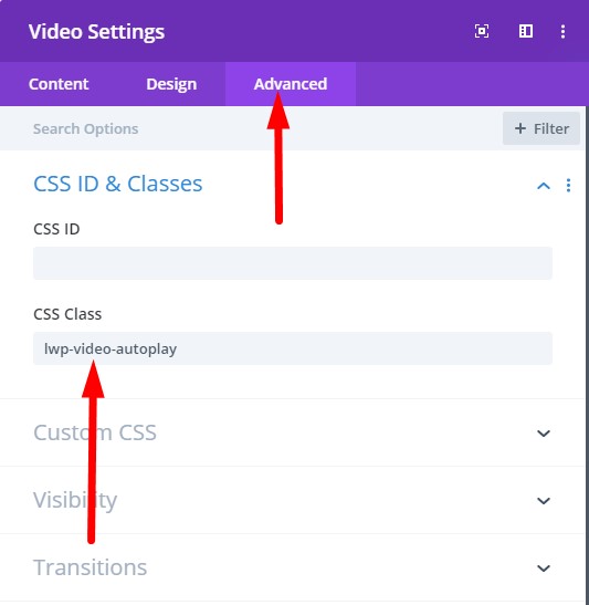 Video Module Autoplay CSS Class