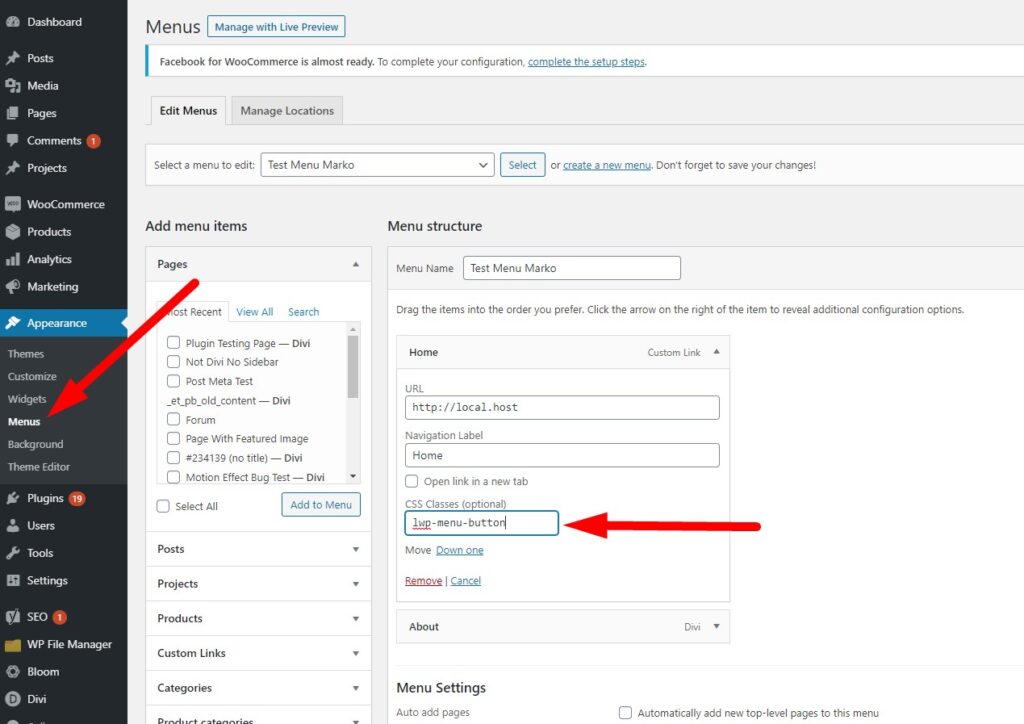 Applying custom css class to a menu item in WordPress