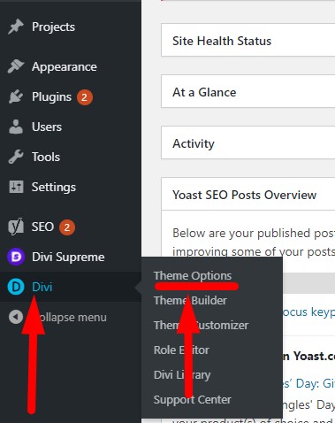 Divi theme options menu wordpress dashboard