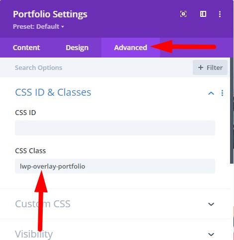 CSS Class to show title on hover in Divi portfolio module