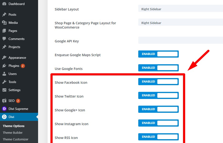 Divi social icon settings theme options
