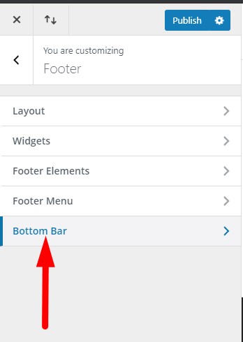 Divi Theme Customizer Bottom Bar option