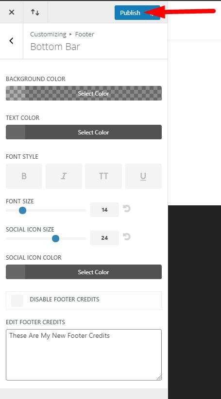 Divi theme customizer publish button