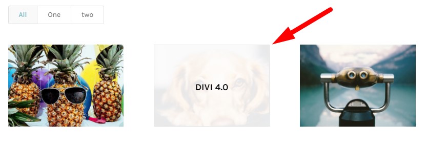 Show title on hover Divi filterable portfolio module