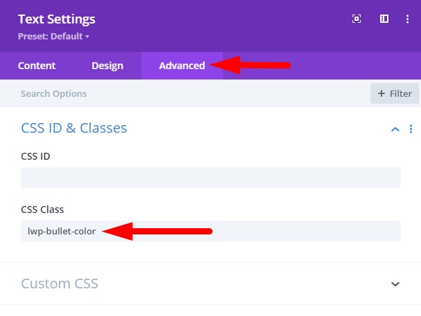 Divi CSS Class change bullet list color