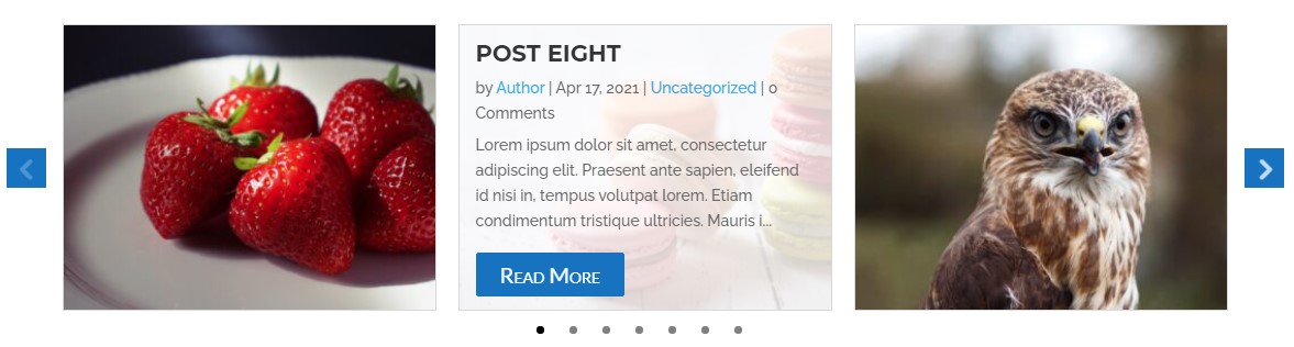 Divi post carousel hover style